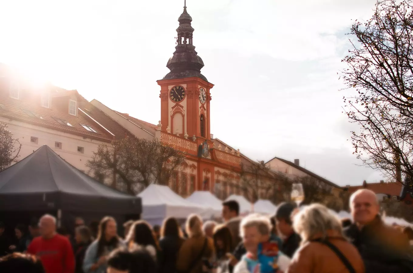 Rakovnický festival vína 2026