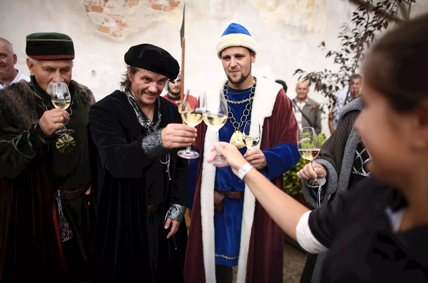 Znojemské vinobraní 2027