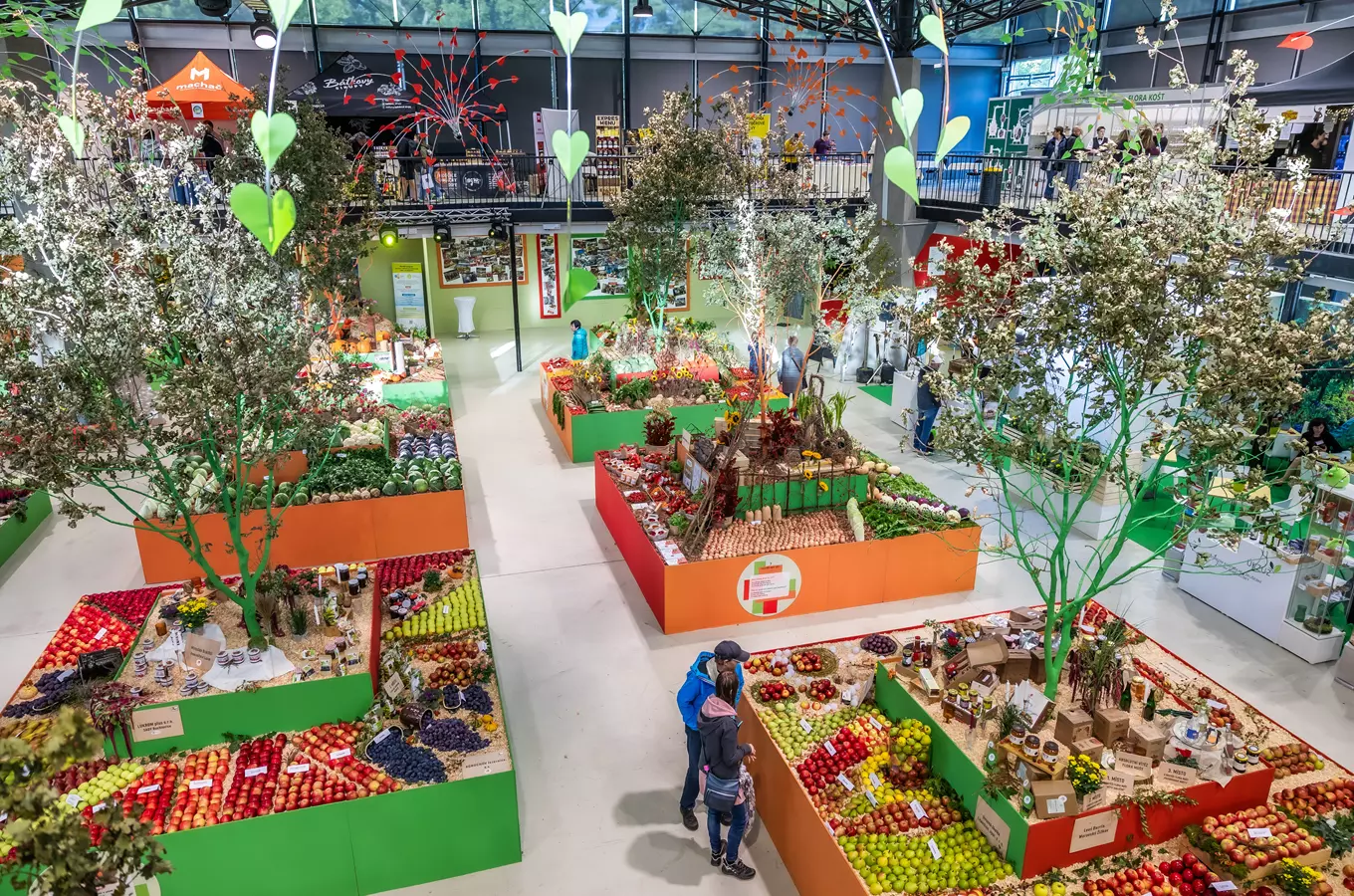 Flora Olomouc – Hortikomplex 2027