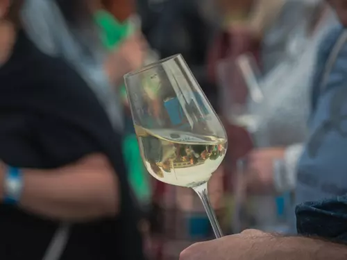 Velikonoční pochůzková výstava vín v Šaldorfských sklepech 2026