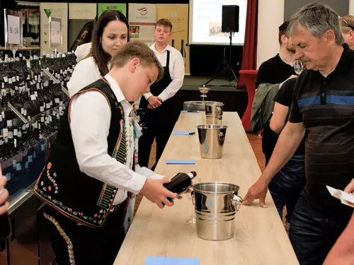 Velkopavlovický košt vín 2026