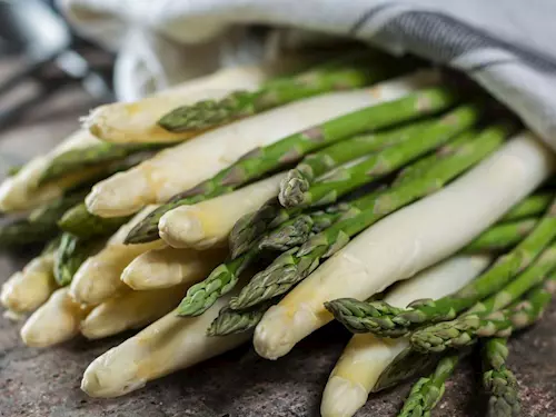 Sezóna chřestu 2026 – kupte si jej na farmě v Hostíně u Vojkovic