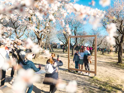 Slavnosti mandloní a vína 2026