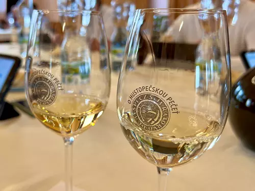 Hustopečská pečeť a Májový košt vín 2026
