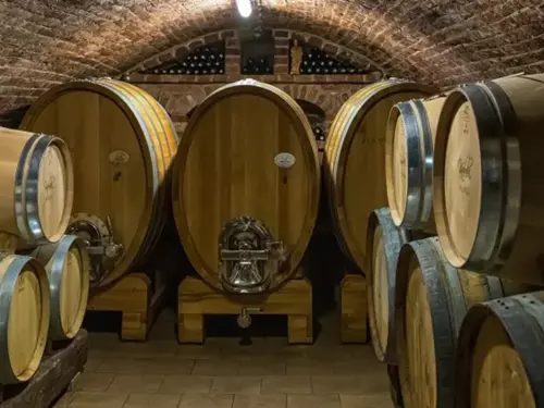 15. přehlídka otevřených sklepů obcí Dolní Dunajovice a Březí u Mikulova