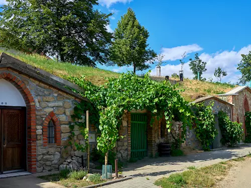 Z kopca do kopca – otevřené sklepy Vrbice 2026