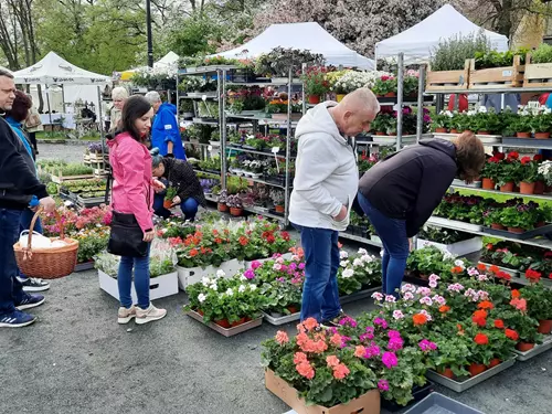 Jahodové kostelecké trhy 2026 – předběžný termín