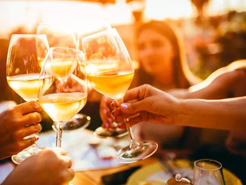 Putování po hlohoveckých sklepech 2026 Video