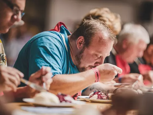 Borůvkobraní v Borovanech 2026