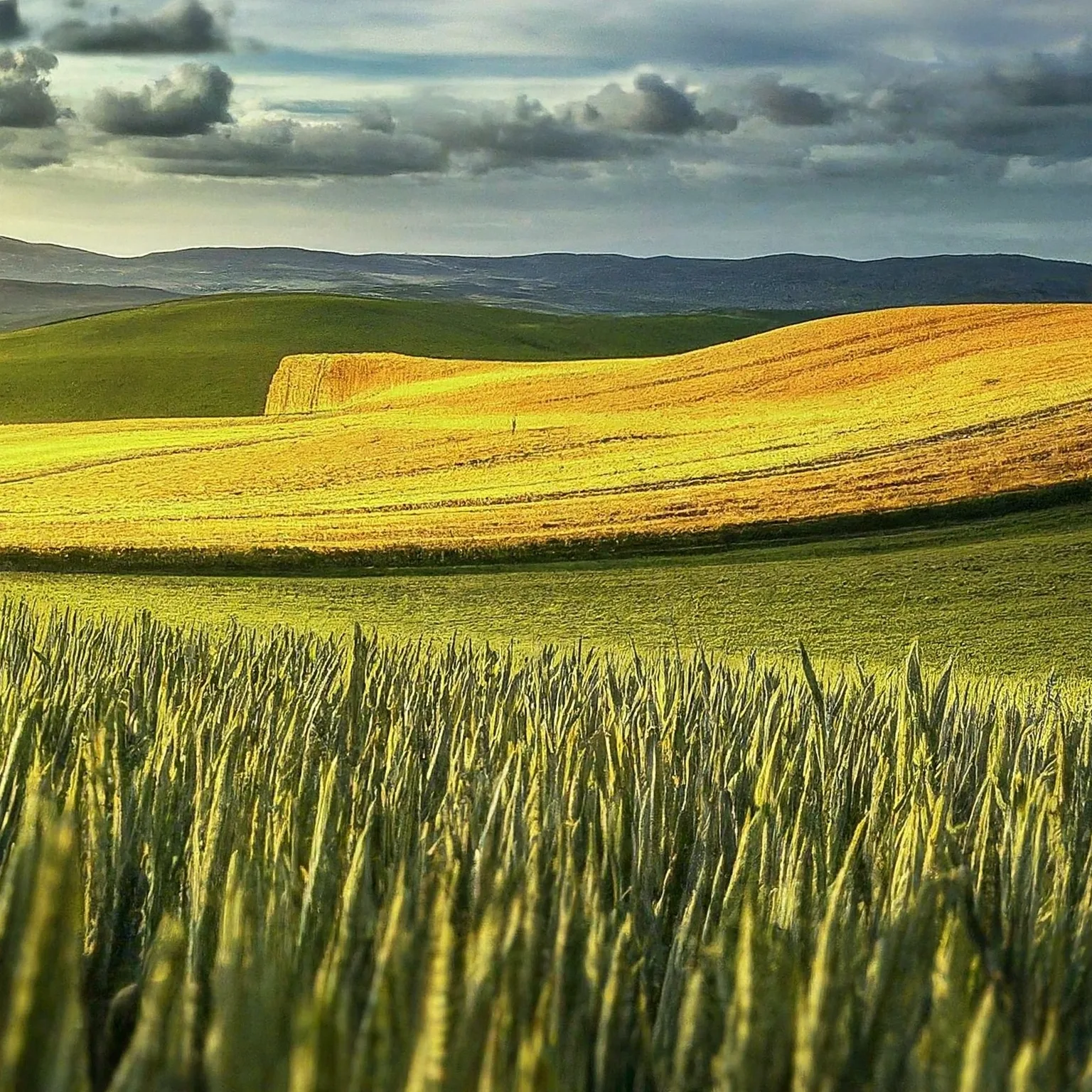 Farma Labuty