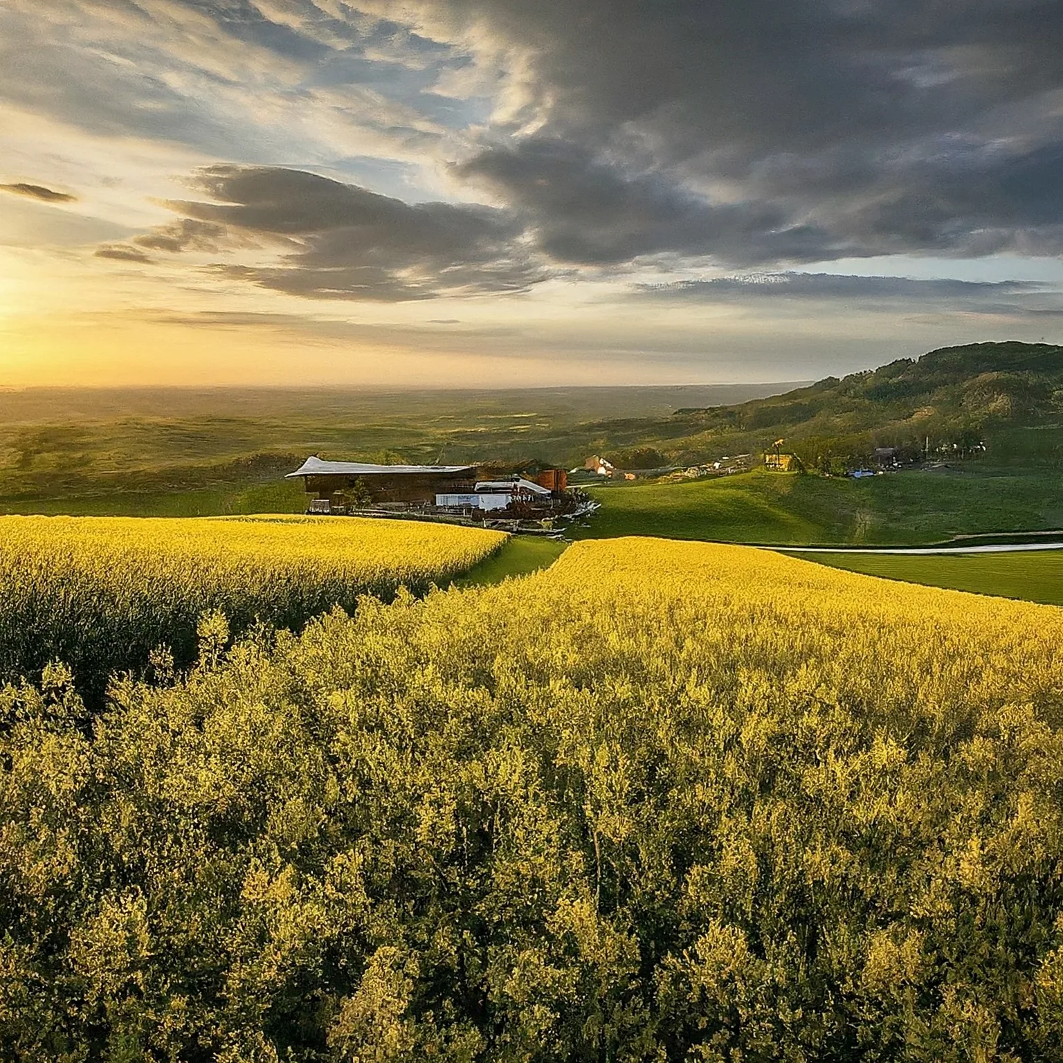 Selka Farmářské bedýnky Brno