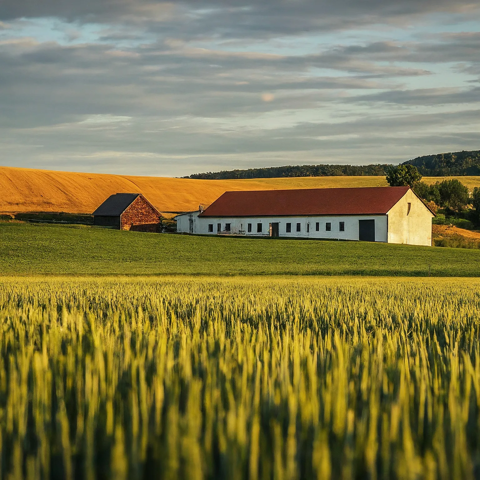 Farma Mlsná koza