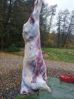 Řezník domácí porážka, zabijačka