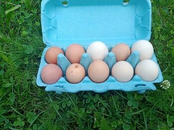 Domácí vajíčka