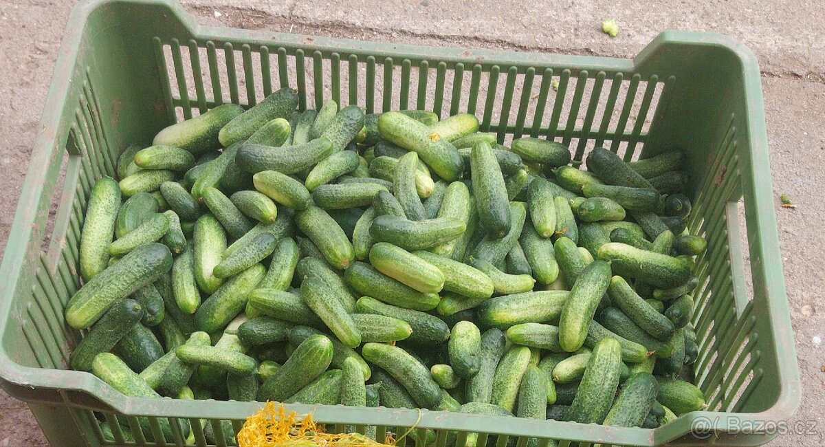 Nakládačky